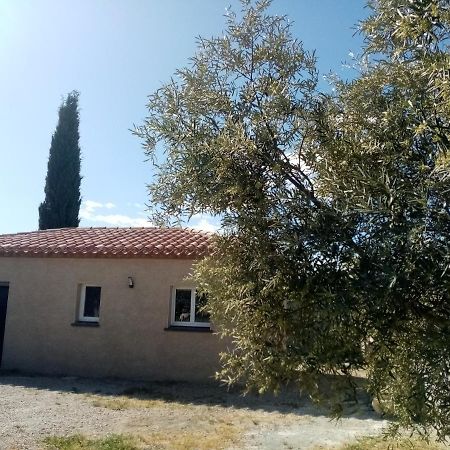 Maison Du Causse Magalas Dış mekan fotoğraf
