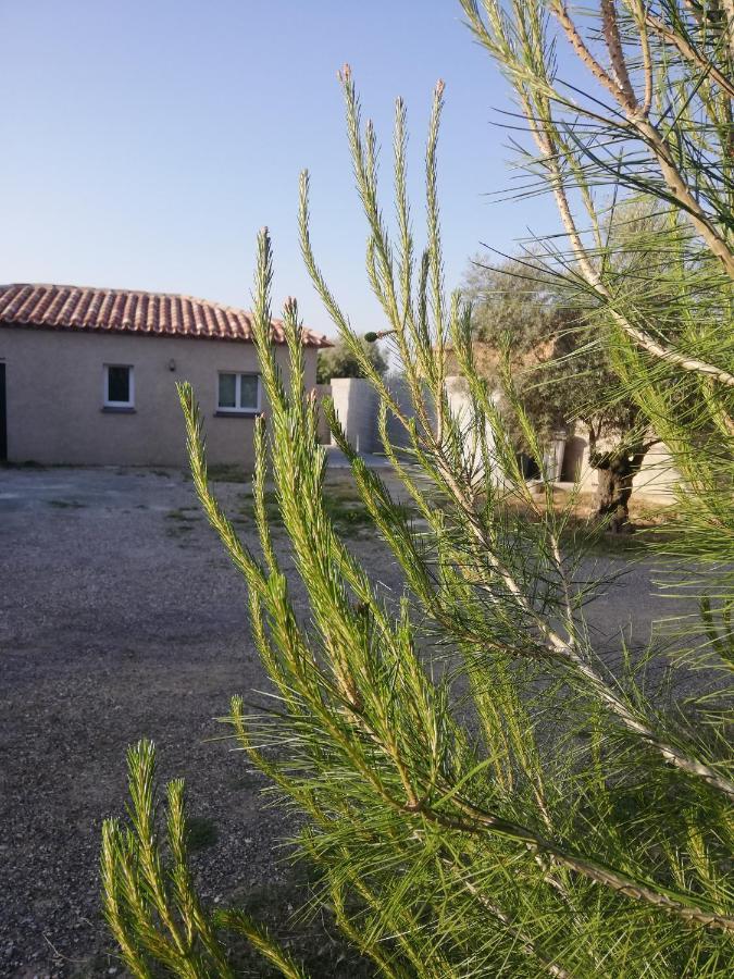 Maison Du Causse Magalas Dış mekan fotoğraf